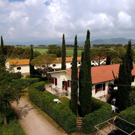 Appartamenti Il Granaio มารีนาดีกรอซเซโต ภายนอก รูปภาพ
