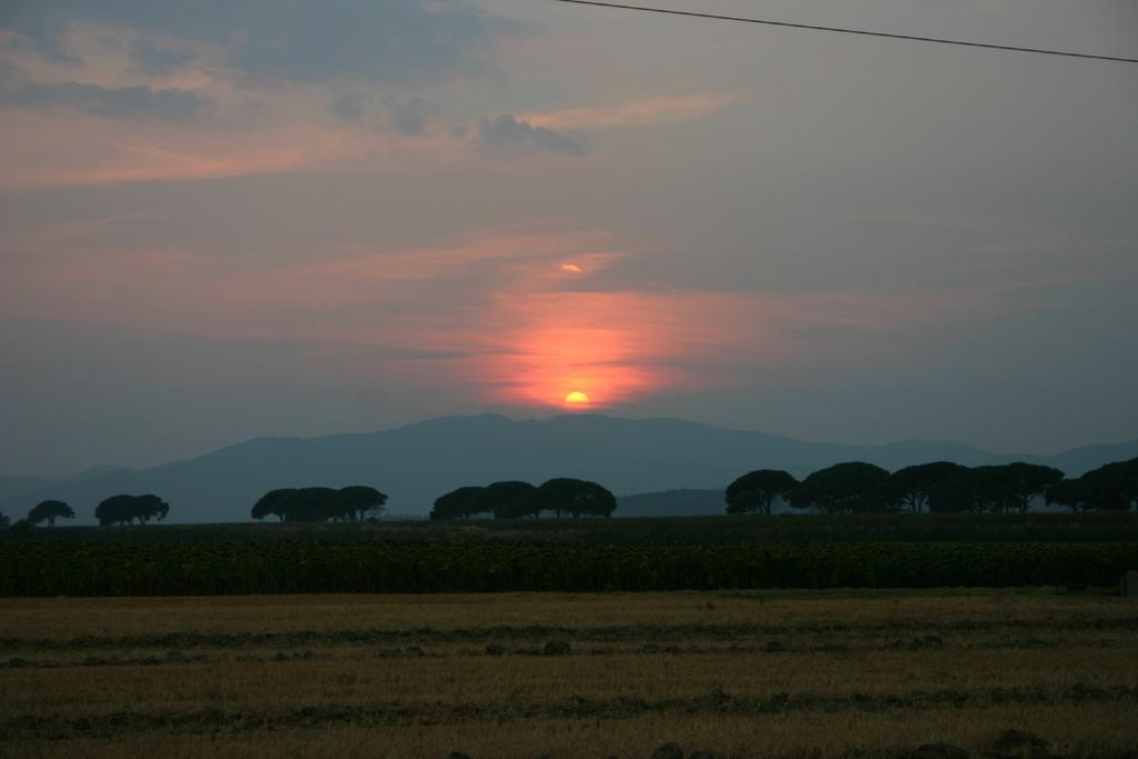 Appartamenti Il Granaio มารีนาดีกรอซเซโต ภายนอก รูปภาพ